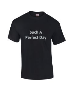 Perfect Day T Shirt